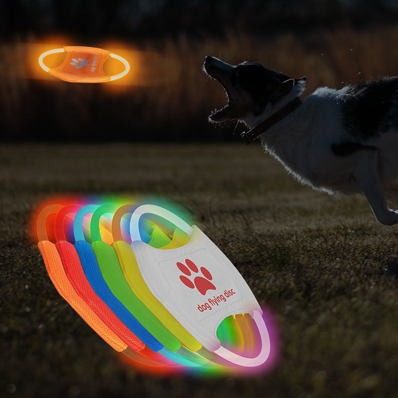 LED Luminous Trainning Interactive Toys Pet Products