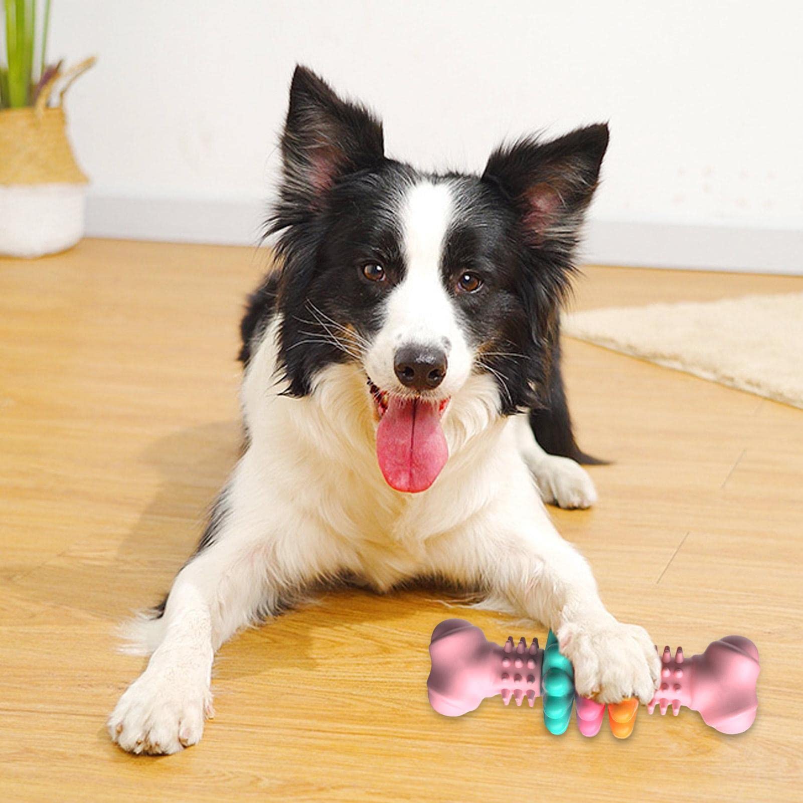 Bone Chewing Bite Resistant Teething Toys