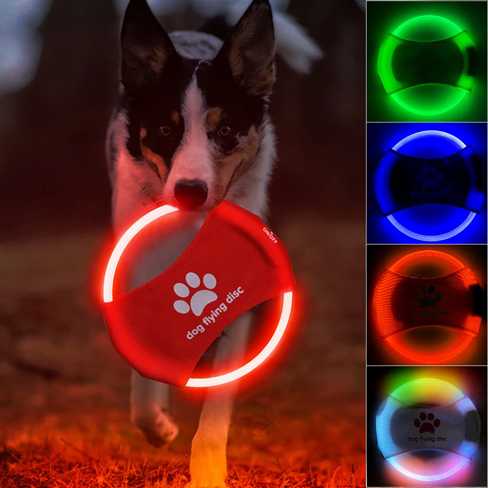 LED Luminous Trainning Interactive Toys Pet Products
