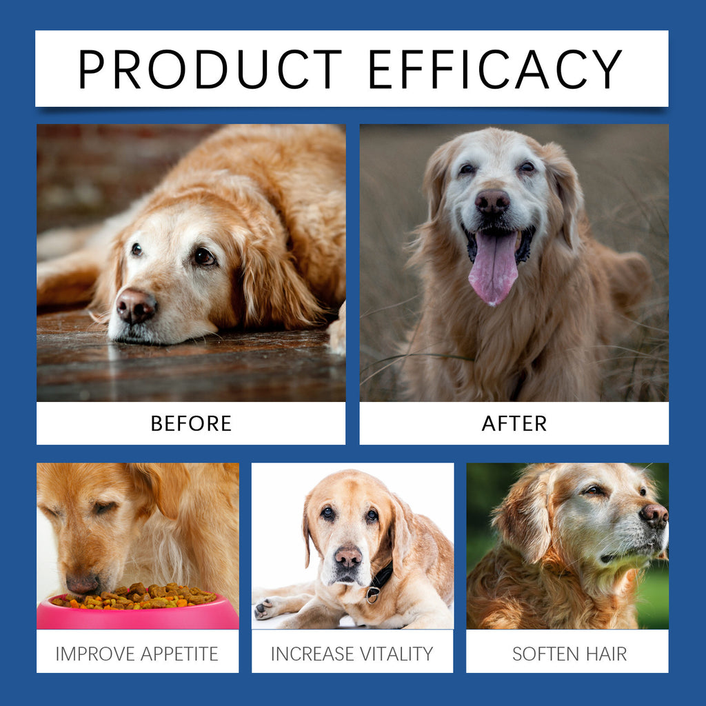 Care Older Dog Calcium Tablets Supplement Nutrition Pet Nutrition