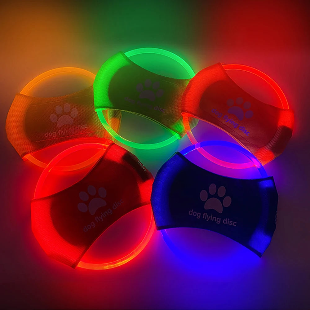 LED Luminous Trainning Interactive Toys Pet Products