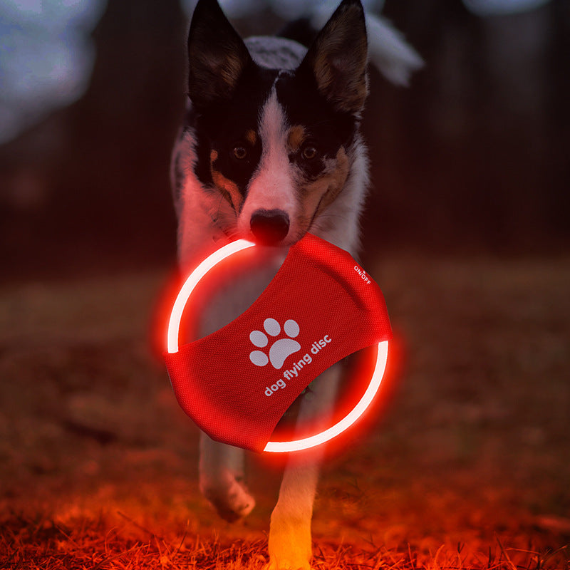 LED Luminous Trainning Interactive Toys Pet Products